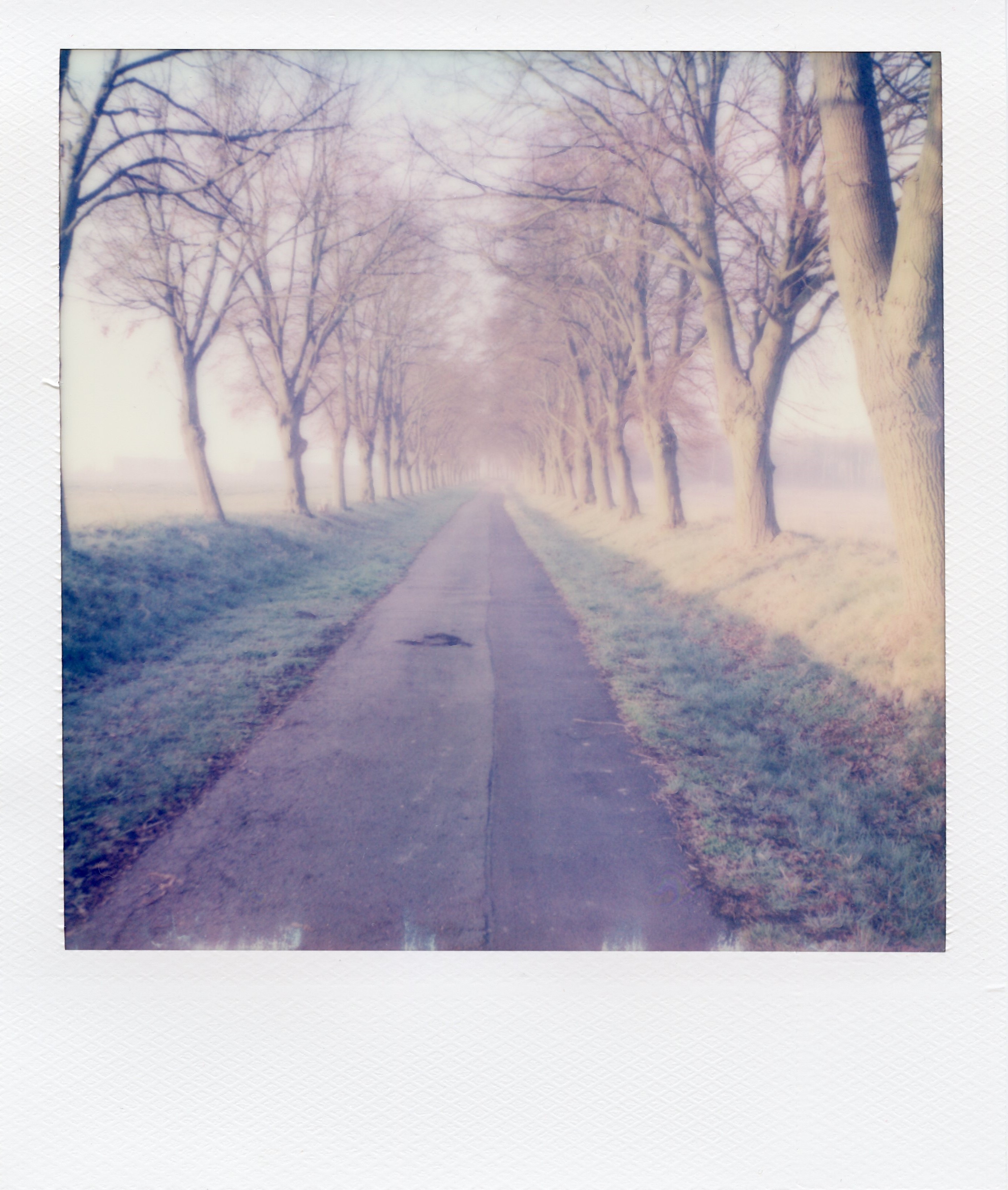 img729x