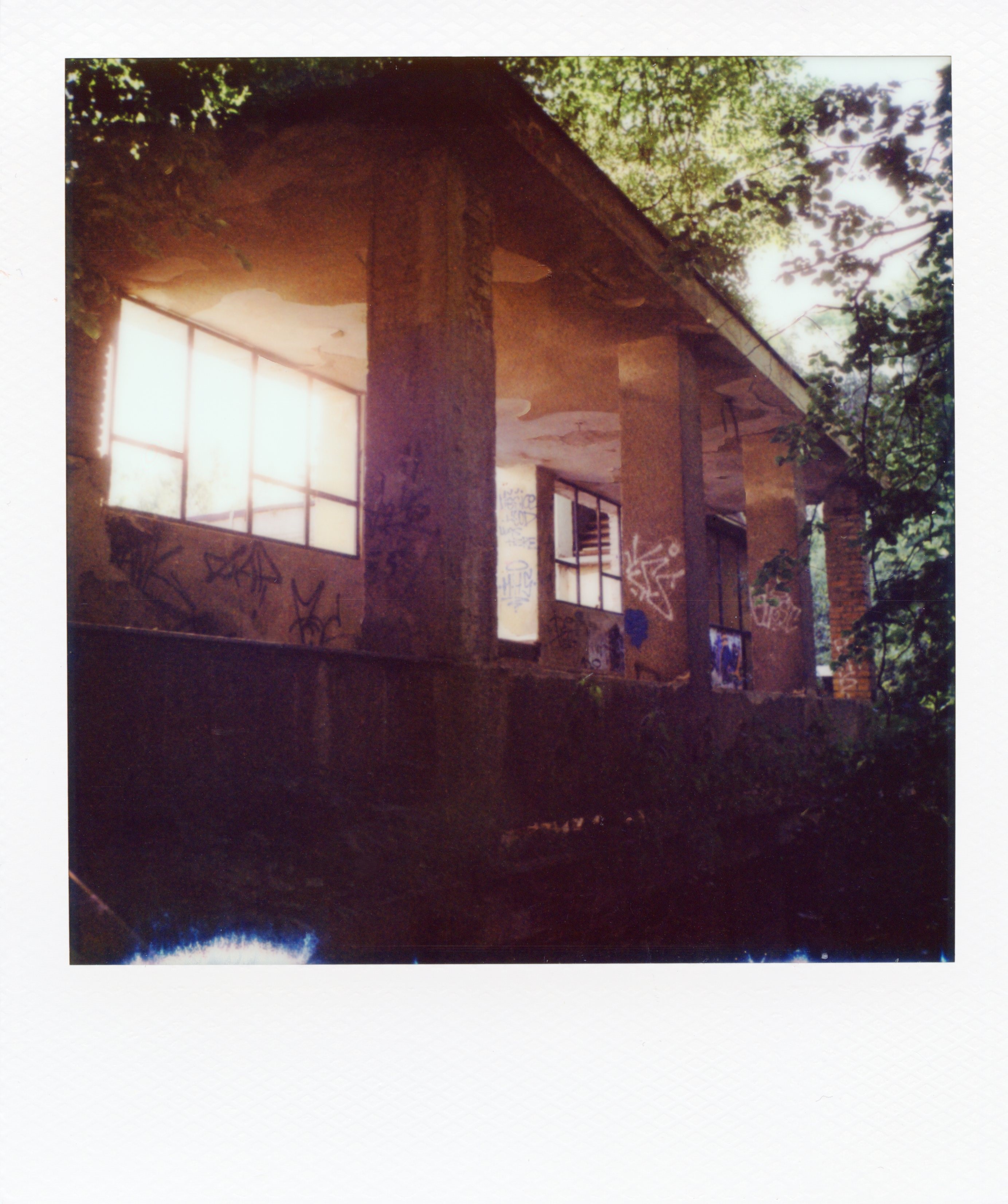 img737