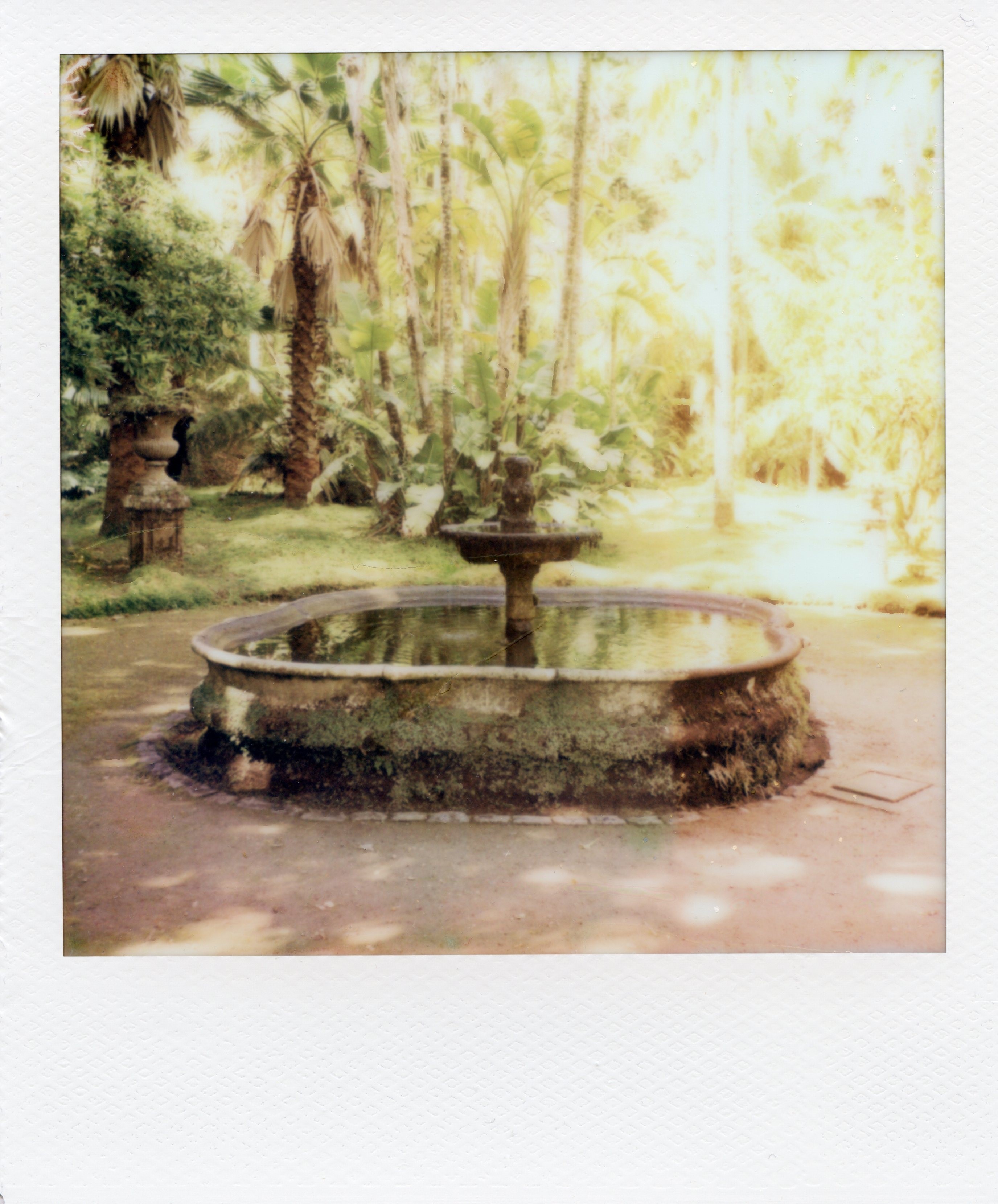img747