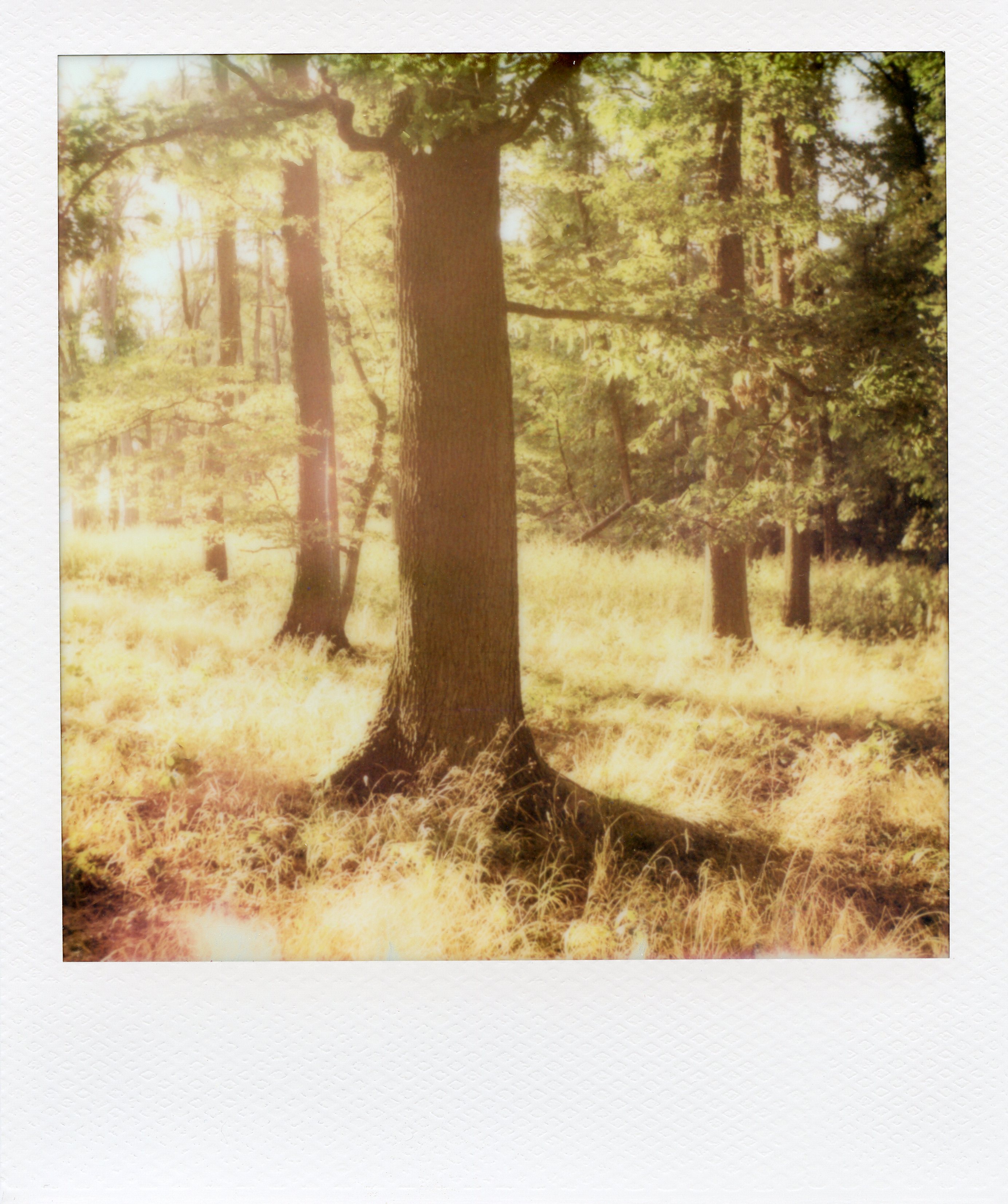 img001