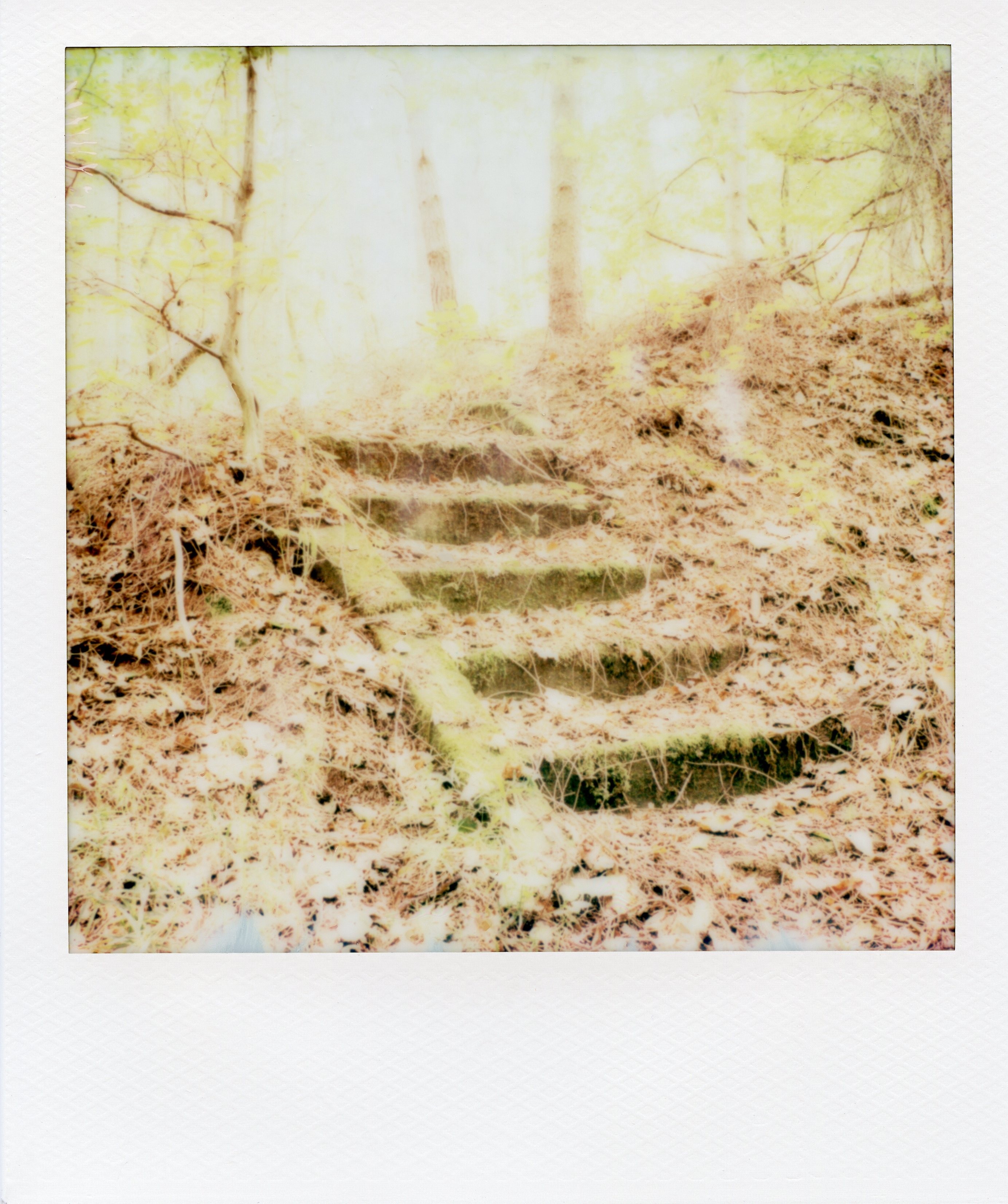 img755