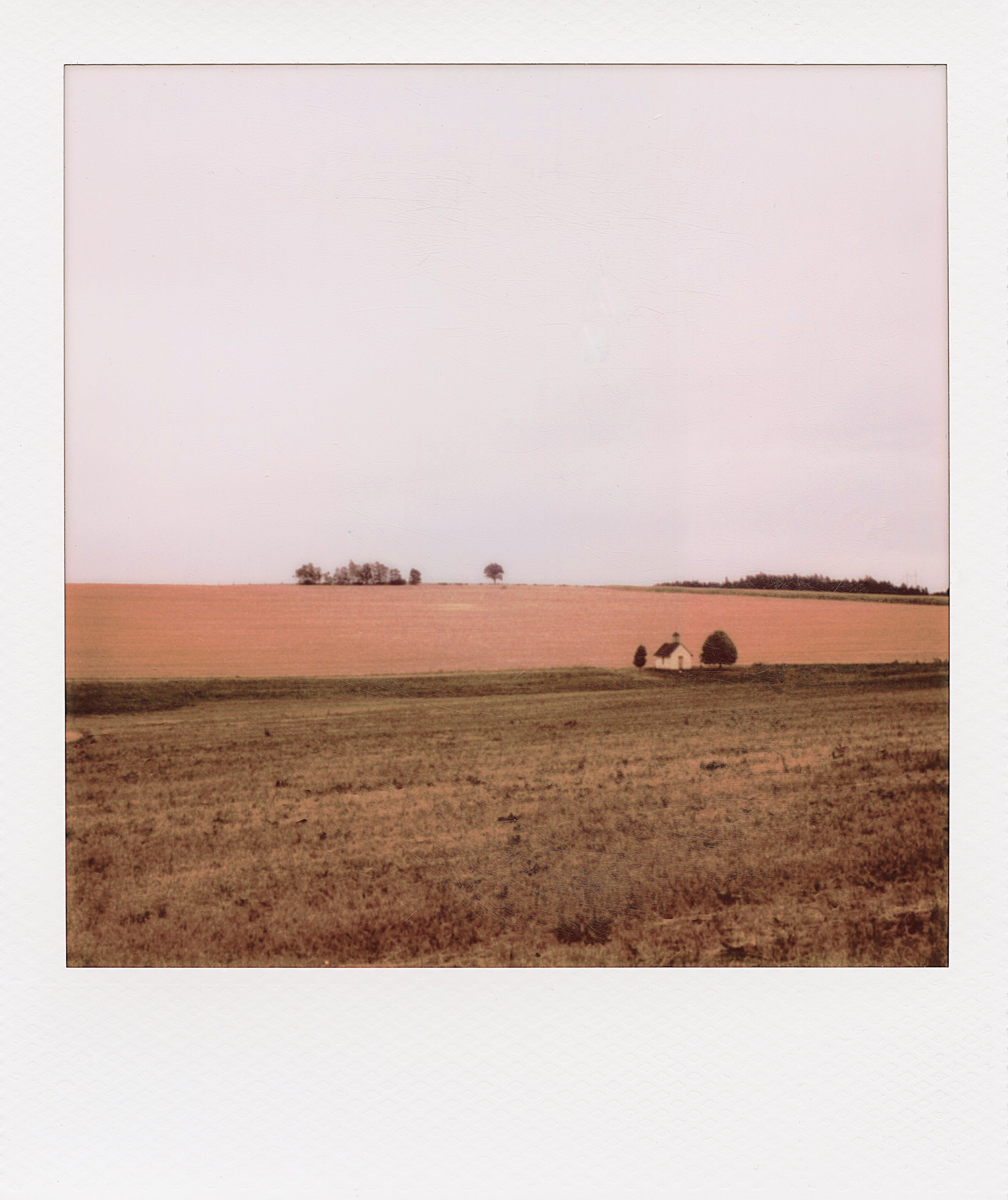 img117x