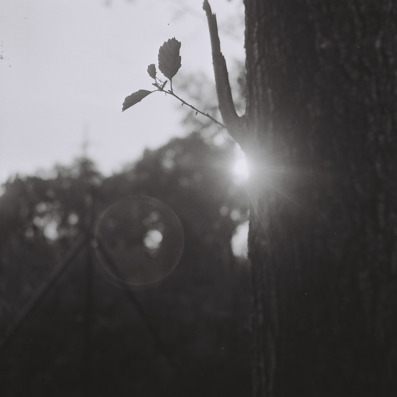 temn002